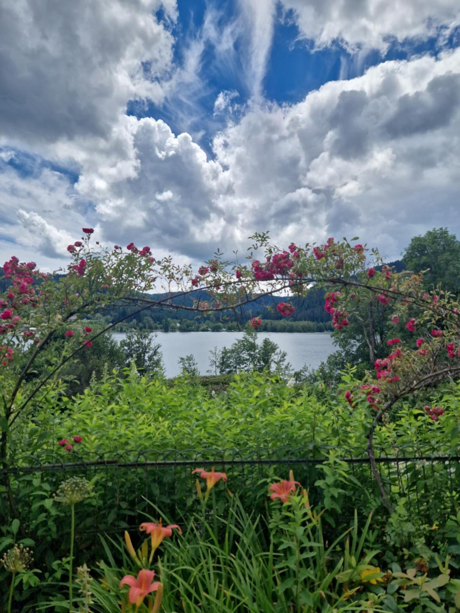 Le Manoir Au Lac Gerardmer Bagian luar foto
