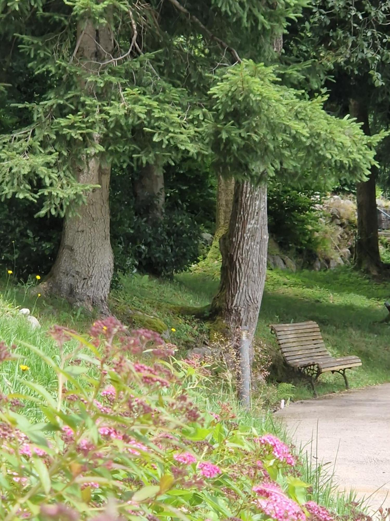 Le Manoir Au Lac Gerardmer Bagian luar foto